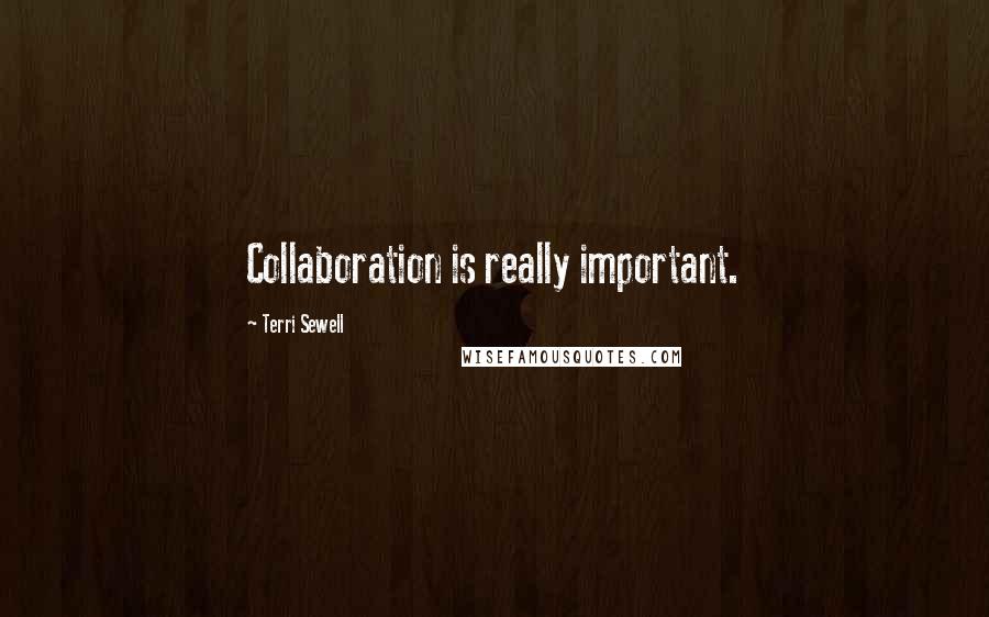 Terri Sewell Quotes: Collaboration is really important.