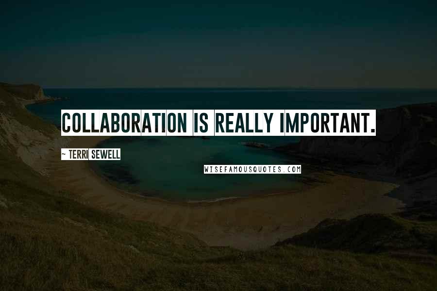 Terri Sewell Quotes: Collaboration is really important.