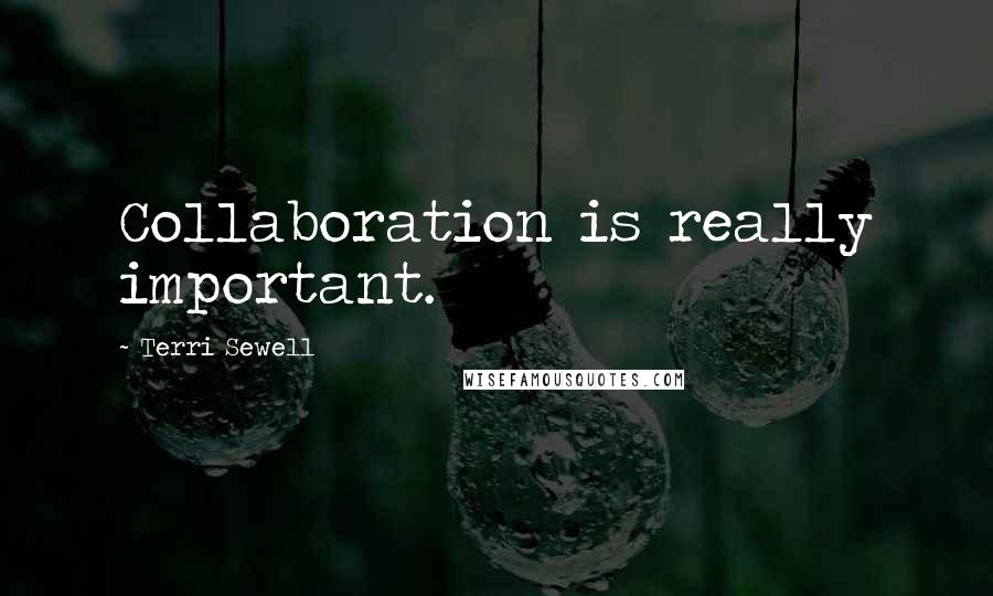 Terri Sewell Quotes: Collaboration is really important.