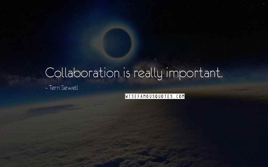 Terri Sewell Quotes: Collaboration is really important.