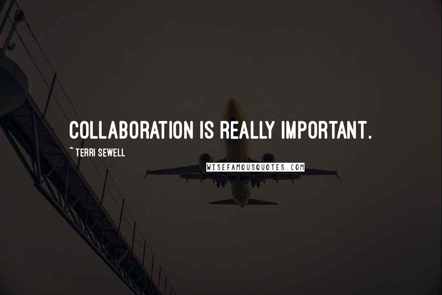 Terri Sewell Quotes: Collaboration is really important.