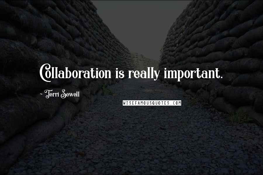 Terri Sewell Quotes: Collaboration is really important.