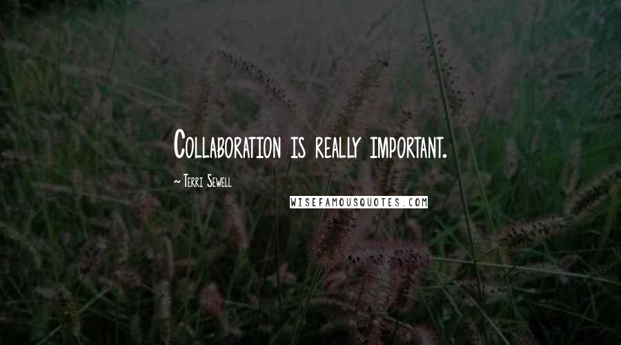 Terri Sewell Quotes: Collaboration is really important.