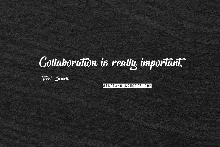 Terri Sewell Quotes: Collaboration is really important.