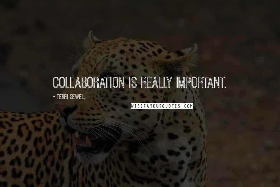 Terri Sewell Quotes: Collaboration is really important.