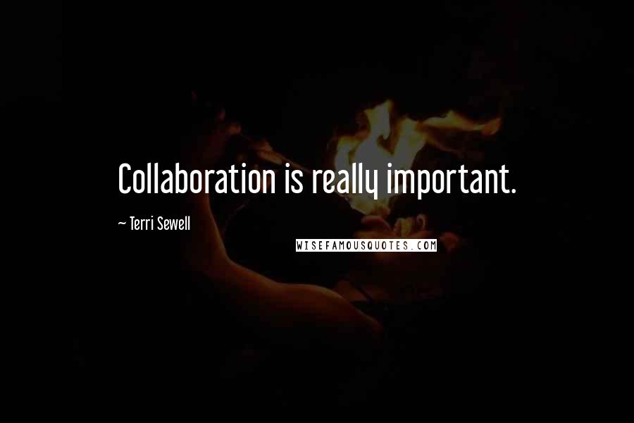 Terri Sewell Quotes: Collaboration is really important.