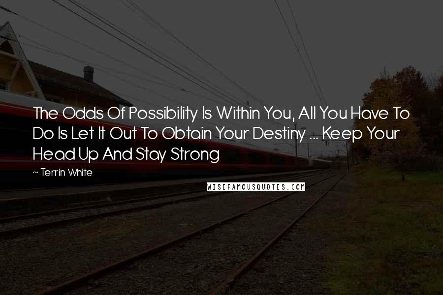 Terrin White Quotes: The Odds Of Possibility Is Within You, All You Have To Do Is Let It Out To Obtain Your Destiny ... Keep Your Head Up And Stay Strong