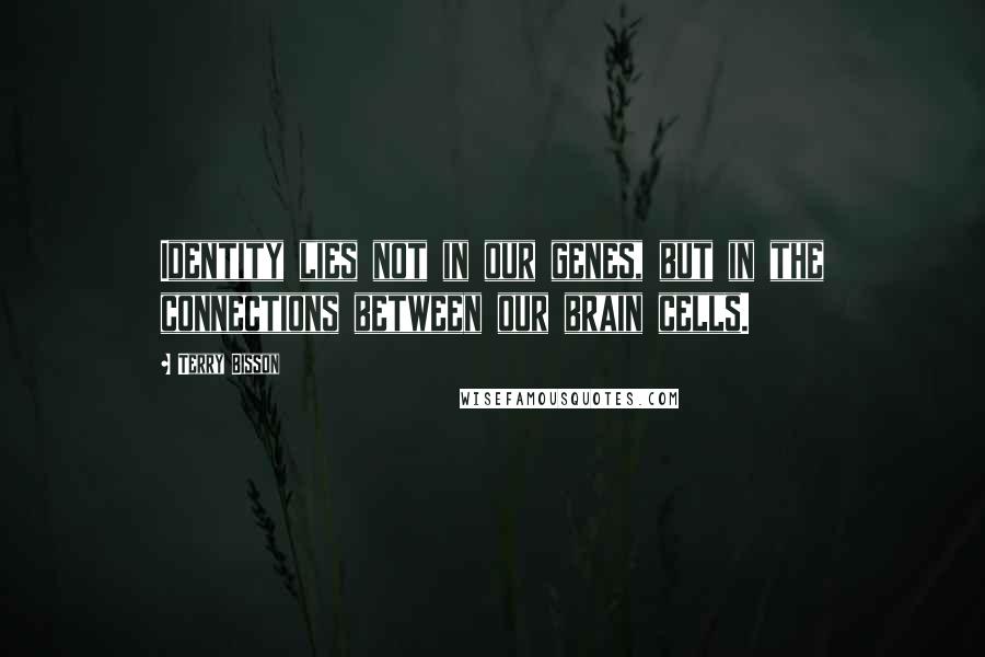 Terry Bisson Quotes: Identity lies not in our genes, but in the connections between our brain cells.