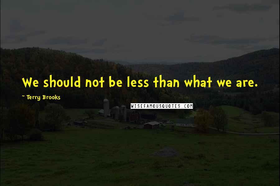 Terry Brooks Quotes: We should not be less than what we are.