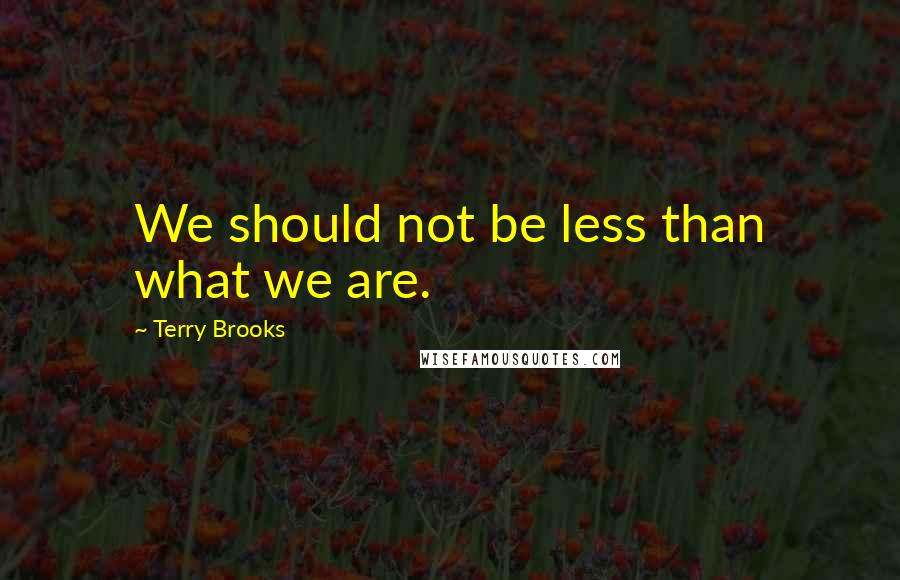 Terry Brooks Quotes: We should not be less than what we are.