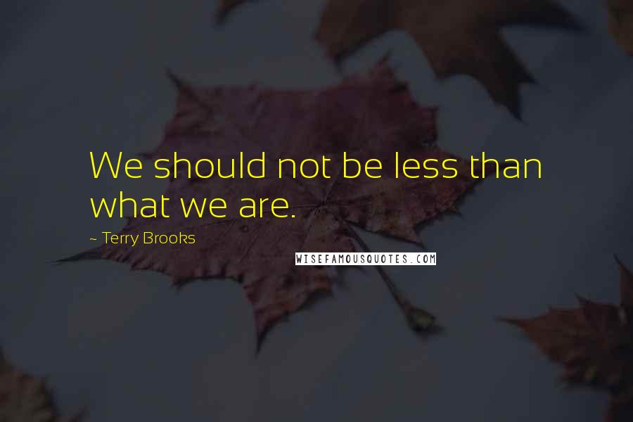 Terry Brooks Quotes: We should not be less than what we are.