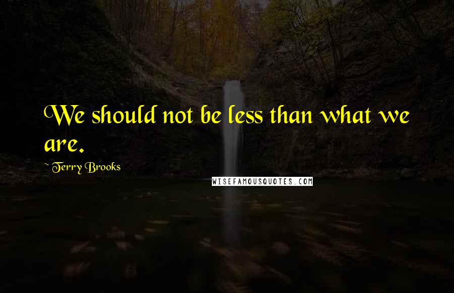 Terry Brooks Quotes: We should not be less than what we are.