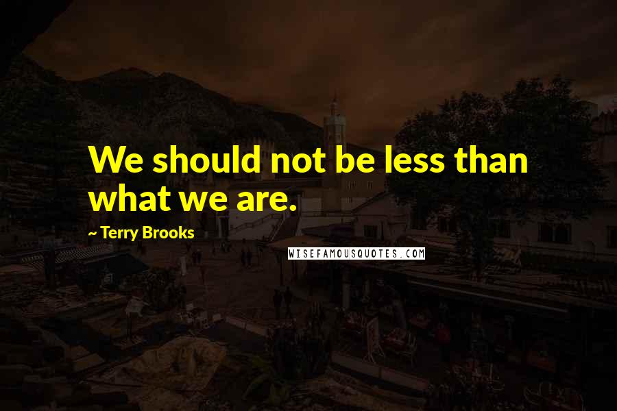 Terry Brooks Quotes: We should not be less than what we are.