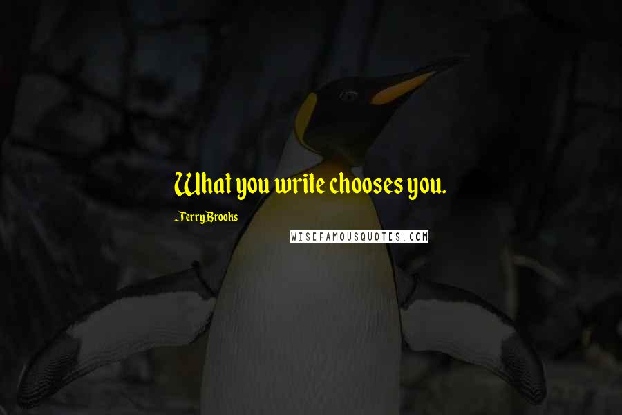 Terry Brooks Quotes: What you write chooses you.