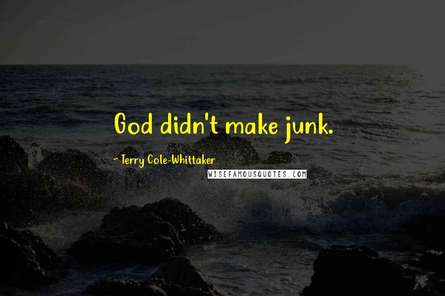 Terry Cole-Whittaker Quotes: God didn't make junk.
