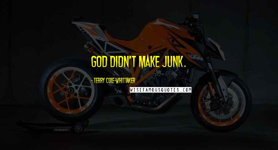 Terry Cole-Whittaker Quotes: God didn't make junk.