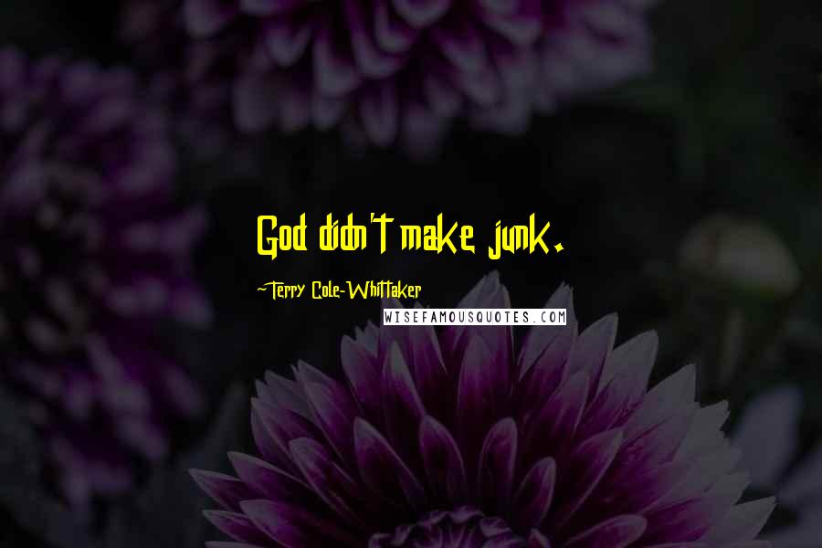 Terry Cole-Whittaker Quotes: God didn't make junk.