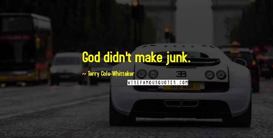Terry Cole-Whittaker Quotes: God didn't make junk.