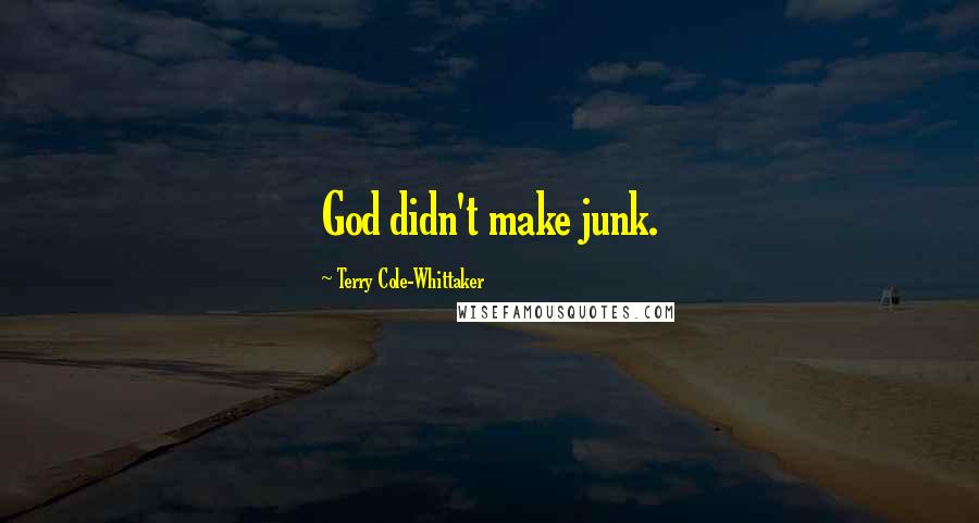 Terry Cole-Whittaker Quotes: God didn't make junk.