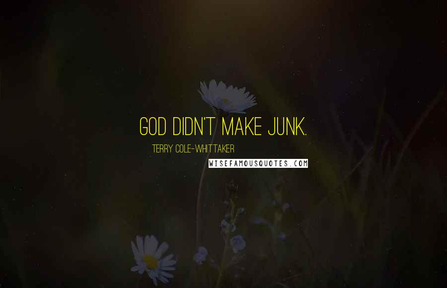 Terry Cole-Whittaker Quotes: God didn't make junk.
