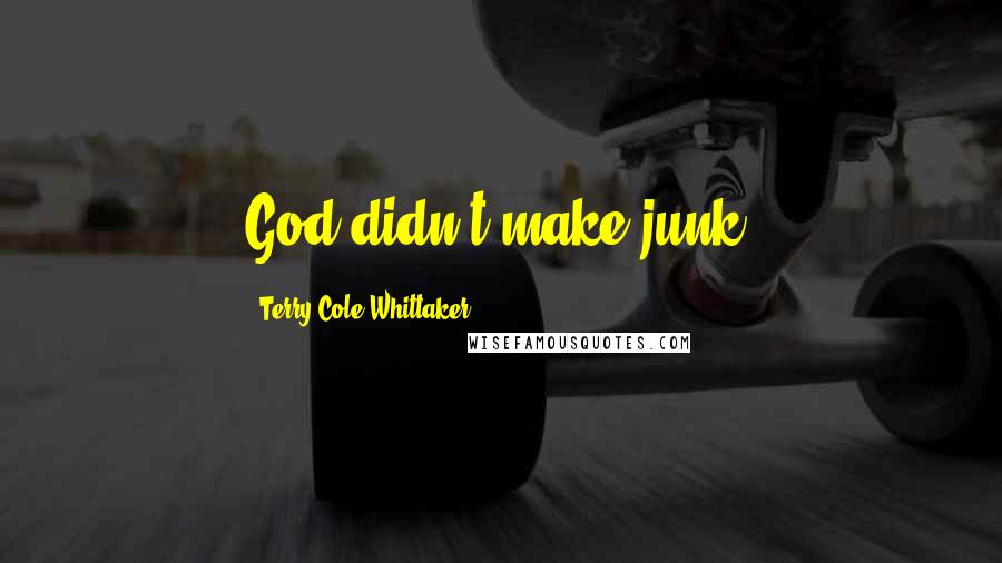Terry Cole-Whittaker Quotes: God didn't make junk.