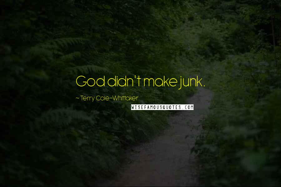Terry Cole-Whittaker Quotes: God didn't make junk.