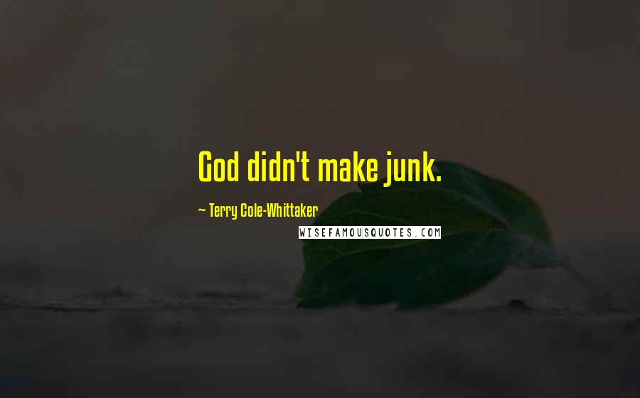 Terry Cole-Whittaker Quotes: God didn't make junk.