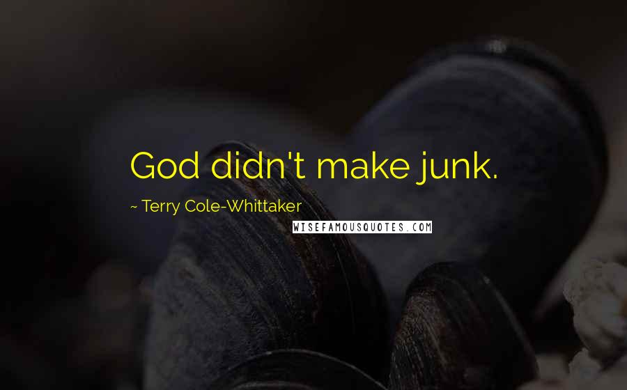 Terry Cole-Whittaker Quotes: God didn't make junk.