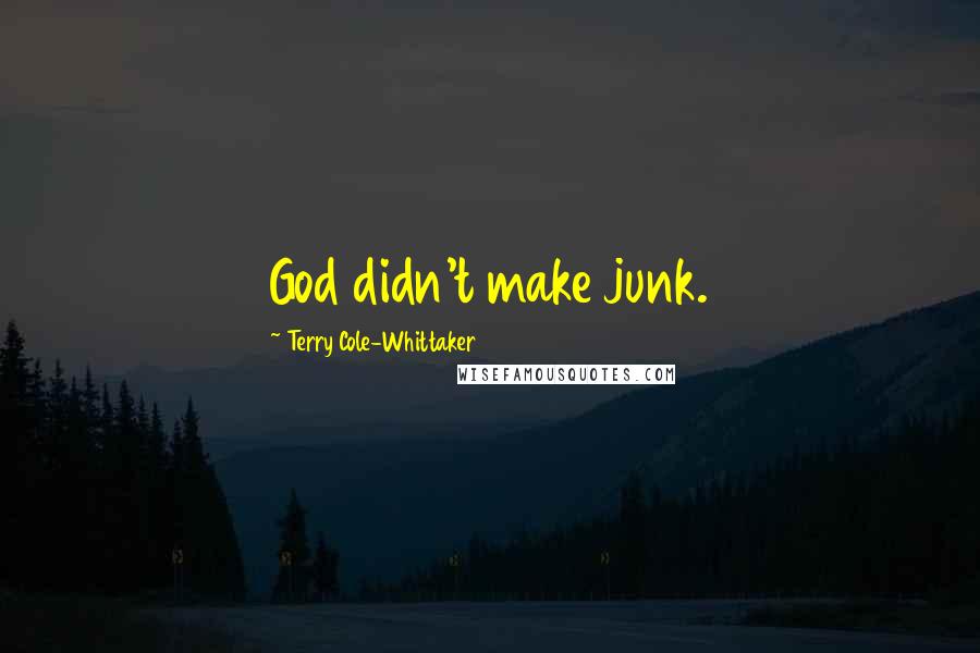 Terry Cole-Whittaker Quotes: God didn't make junk.
