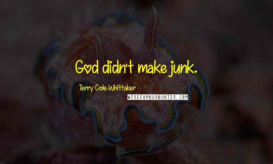 Terry Cole-Whittaker Quotes: God didn't make junk.