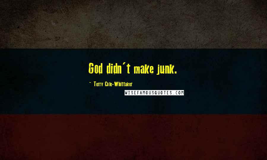 Terry Cole-Whittaker Quotes: God didn't make junk.