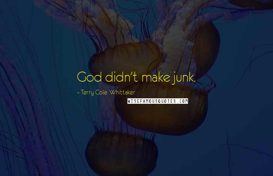 Terry Cole-Whittaker Quotes: God didn't make junk.