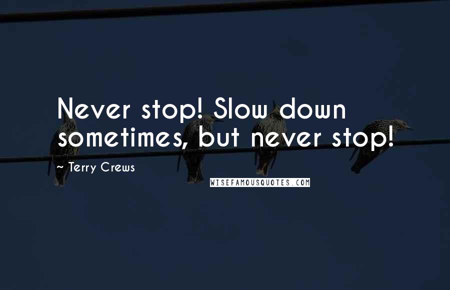 Terry Crews Quotes: Never stop! Slow down sometimes, but never stop!