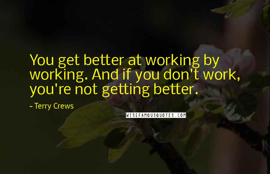 Terry Crews Quotes: You get better at working by working. And if you don't work, you're not getting better.