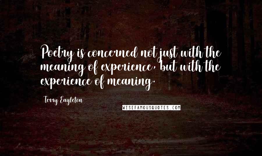 Terry Eagleton Quotes: Poetry is concerned not just with the meaning of experience, but with the experience of meaning.