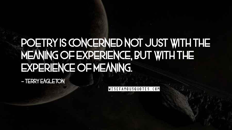 Terry Eagleton Quotes: Poetry is concerned not just with the meaning of experience, but with the experience of meaning.