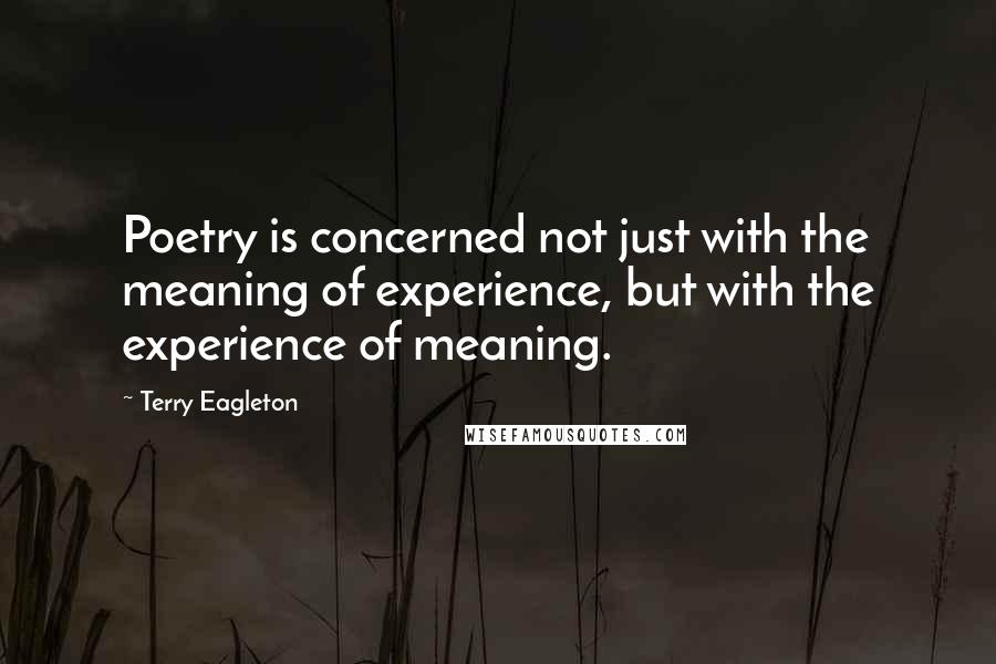 Terry Eagleton Quotes: Poetry is concerned not just with the meaning of experience, but with the experience of meaning.