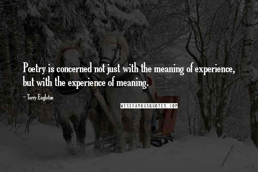 Terry Eagleton Quotes: Poetry is concerned not just with the meaning of experience, but with the experience of meaning.