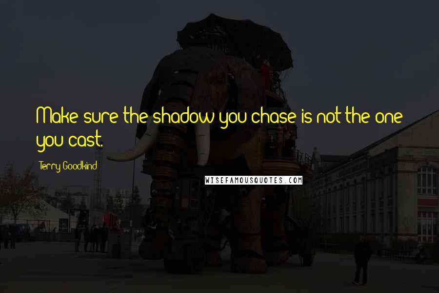 Terry Goodkind Quotes: Make sure the shadow you chase is not the one you cast.