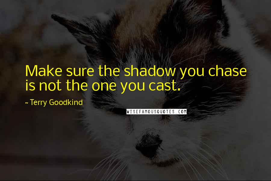 Terry Goodkind Quotes: Make sure the shadow you chase is not the one you cast.