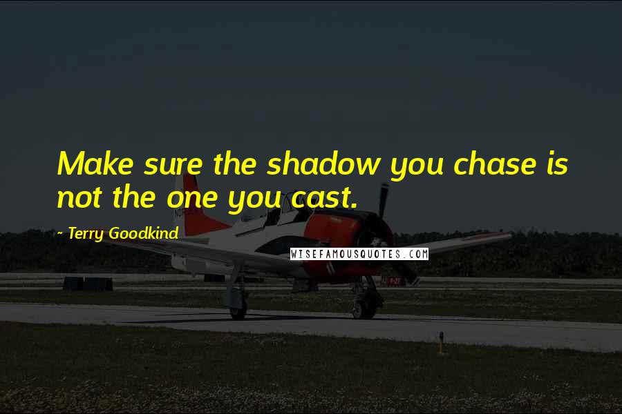 Terry Goodkind Quotes: Make sure the shadow you chase is not the one you cast.