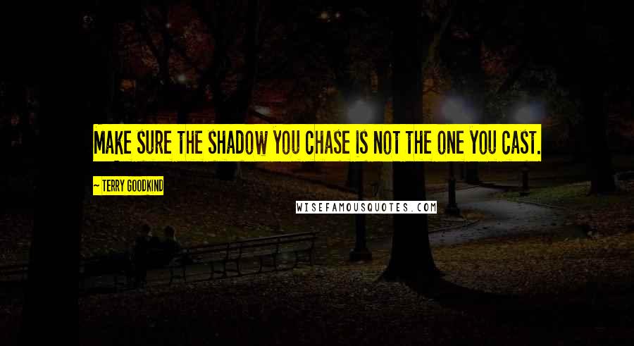 Terry Goodkind Quotes: Make sure the shadow you chase is not the one you cast.