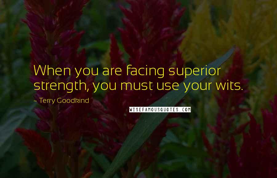 Terry Goodkind Quotes: When you are facing superior strength, you must use your wits.