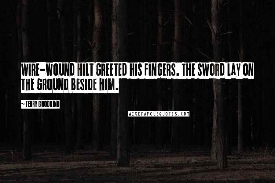 Terry Goodkind Quotes: wire-wound hilt greeted his fingers. The sword lay on the ground beside him.