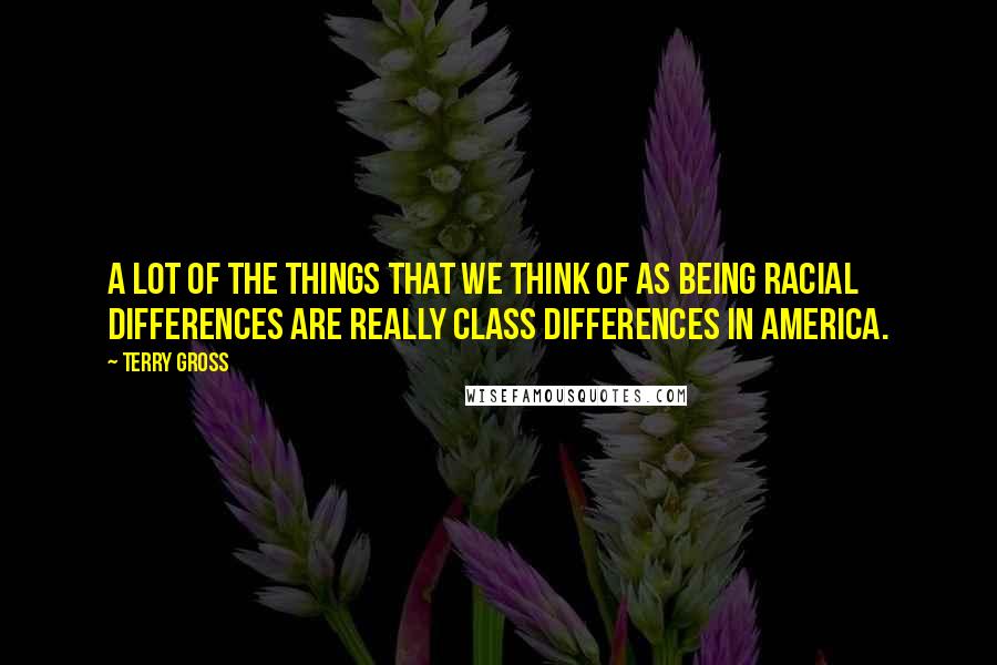 Terry Gross Quotes: A lot of the things that we think of as being racial differences are really class differences in America.