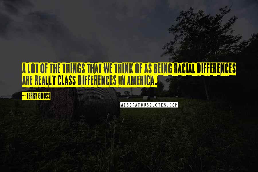 Terry Gross Quotes: A lot of the things that we think of as being racial differences are really class differences in America.