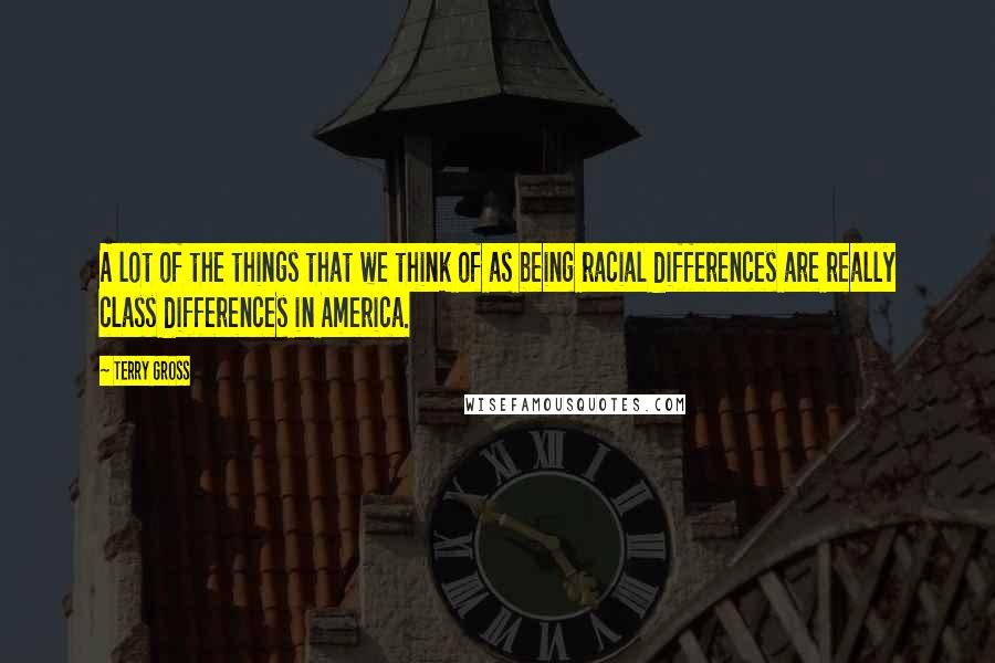 Terry Gross Quotes: A lot of the things that we think of as being racial differences are really class differences in America.