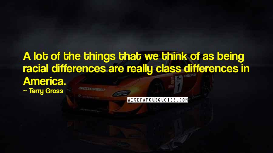 Terry Gross Quotes: A lot of the things that we think of as being racial differences are really class differences in America.