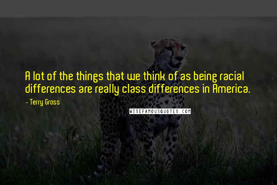 Terry Gross Quotes: A lot of the things that we think of as being racial differences are really class differences in America.