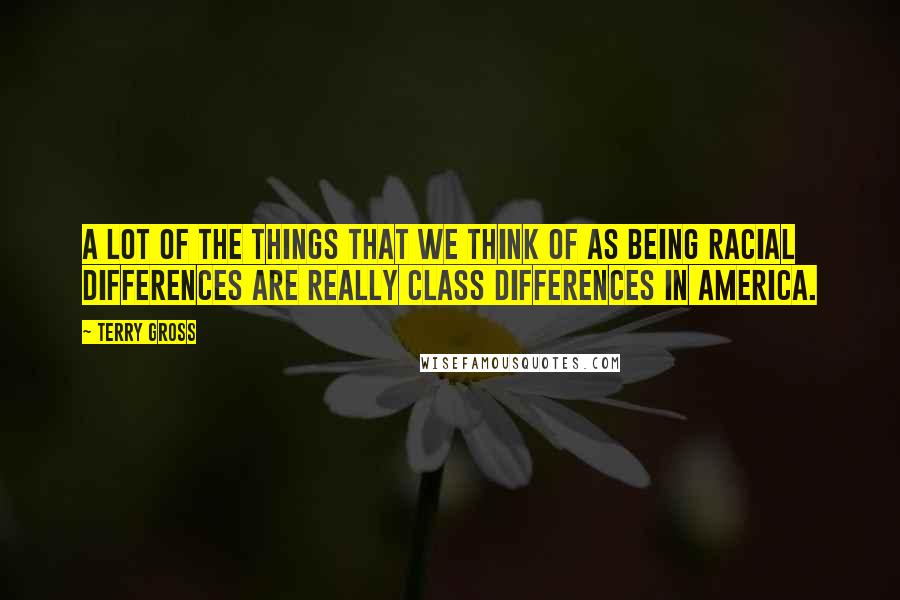 Terry Gross Quotes: A lot of the things that we think of as being racial differences are really class differences in America.